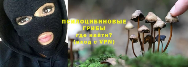 кокаин премиум Белокуриха