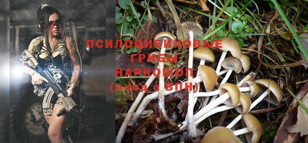 мяу мяу мука Беломорск
