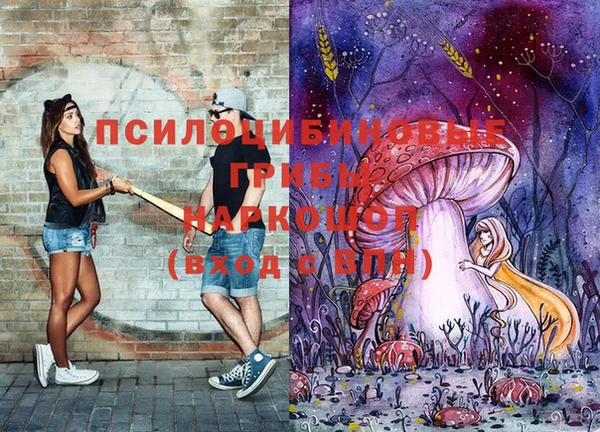 мяу мяу мука Беломорск