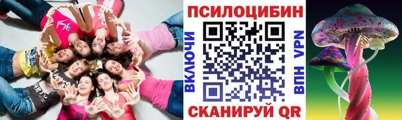 Псилоцибиновые грибы Cubensis  Купить закладки  Демидов 