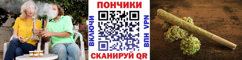 Купить где  Демидов  Марихуана конопля 